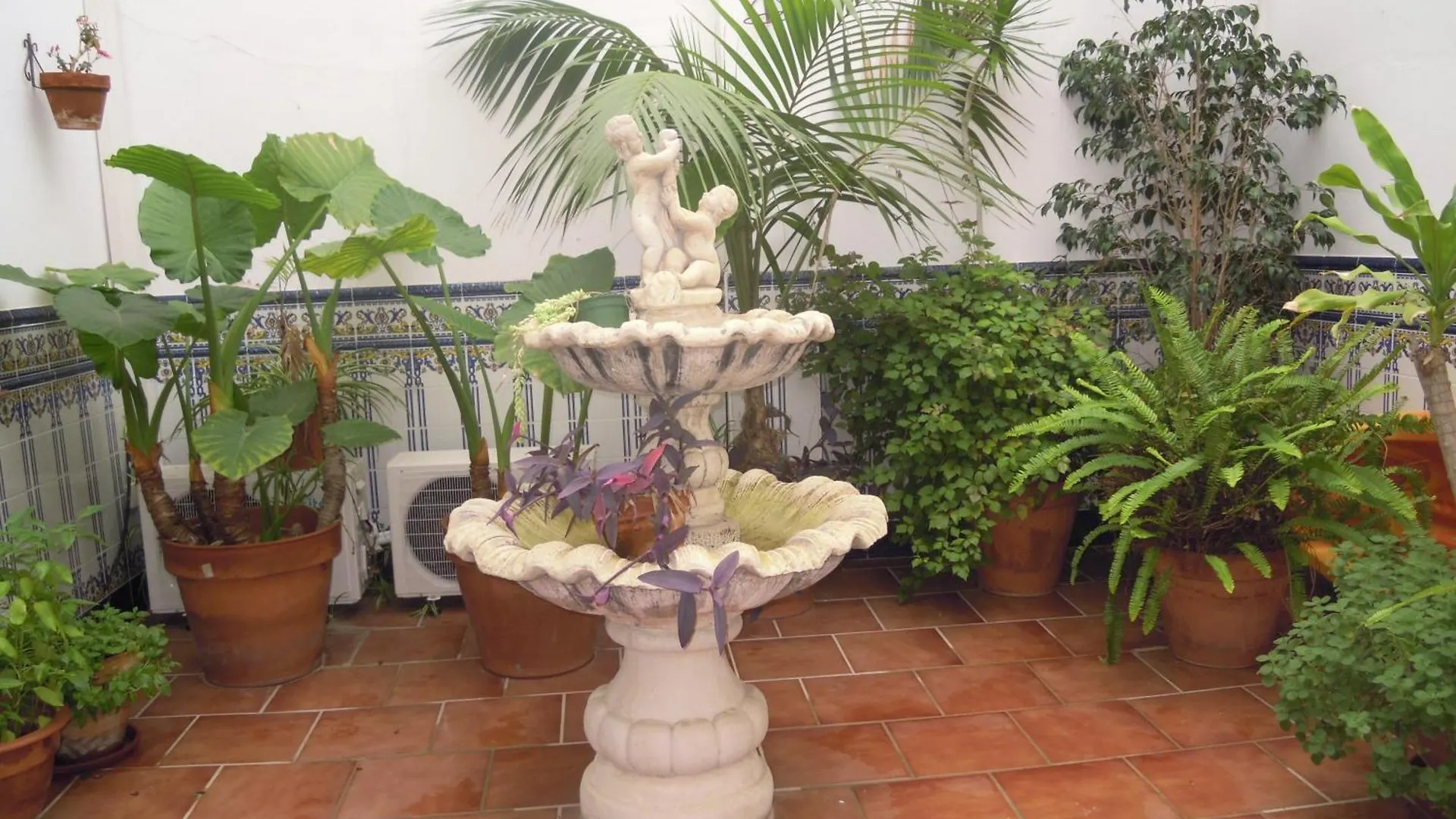 Hostal Moscatel Malaga 2*,  Spain
